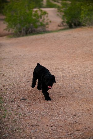 family.pics.gracie.113