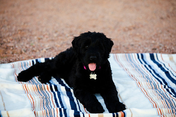 family.pics.gracie.116