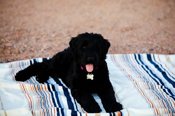 family.pics.gracie.117
