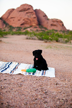 family.pics.gracie.137
