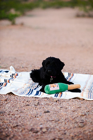 family.pics.gracie.143