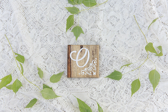 0049 Jenn Sutton Photography Stock Photos-