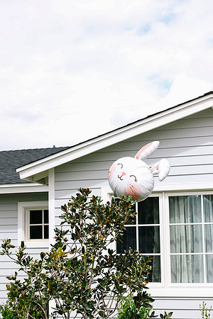 JSP.Photos.019
