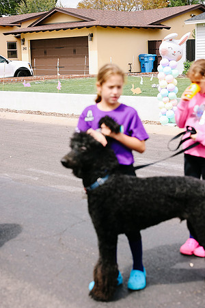 JSP.Photos.447