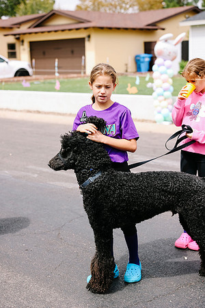JSP.Photos.448