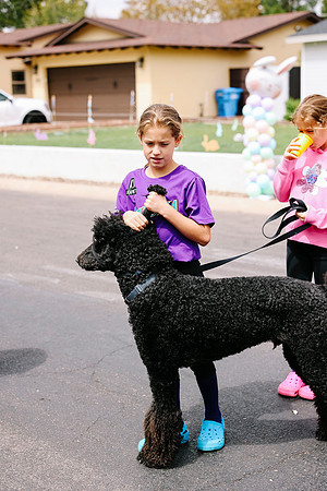 JSP.Photos.449